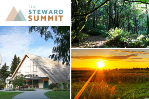 Steward Summit STD Photo